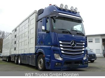 Livestock truck Mercedes-Benz Actros  2551 Menke 4 Stock Vollalu Hubach: picture 1