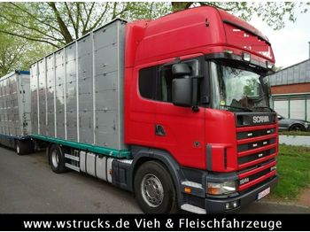 Livestock truck Scania 164/580 164/580Topline 2 Stock: picture 1