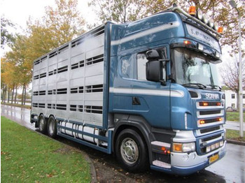 Livestock truck SCANIA R 500
