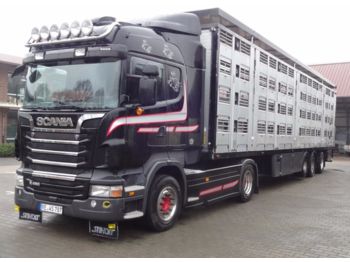 Livestock truck Scania R 480 Highl. mit Menke 4 Stock: picture 1