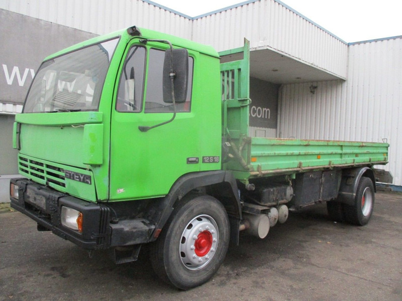 Tipper Steyr 17S18 , Manual , 2 way tipper , Euro 2, Spring suspension: picture 8