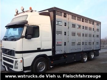 Livestock truck Volvo FH 460 Globe mit Menke 4 Stock Hubdach: picture 1