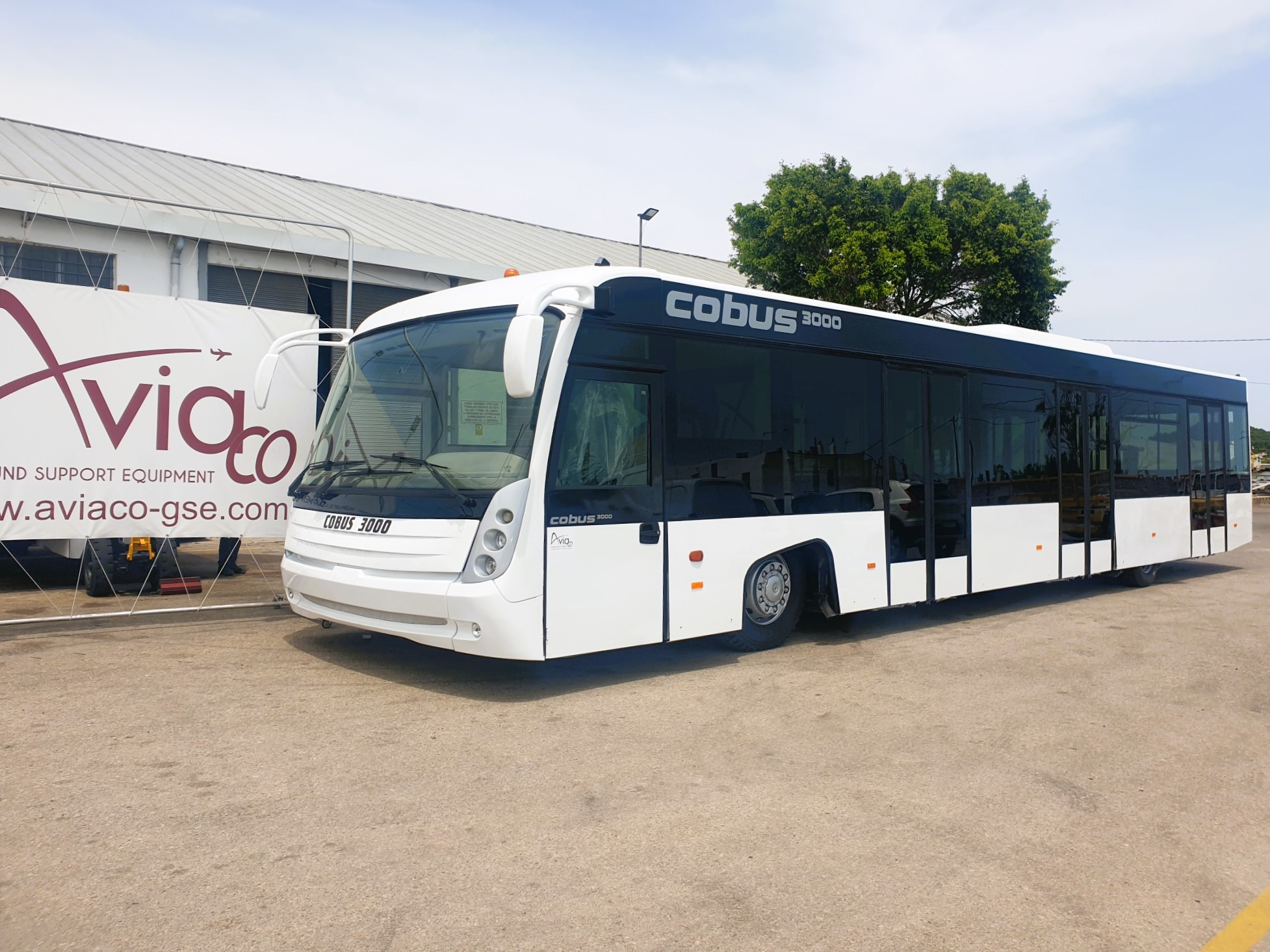AVIACO GSE - Ground support equipment EINSA undefined: picture 86