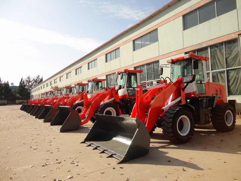 QINGDAO PROMISING INTERNATIONAL CO., LTD. undefined: picture 4