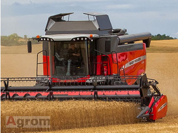Combine harvester MASSEY FERGUSON