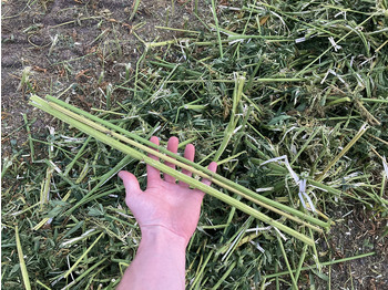 Forage harvester for transportation of food New Holland FR9060 for hemp harvest hemp harvester: picture 5 Forage harvester for transportation of food New Holland FR9060 for hemp harvest hemp harvester: picture 5