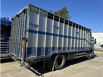 Livestock truck Scania P310 4x2 ANIMAL TRANSPORT - ALU BOX 7m - MANUAL - AIR SUSPENSION - A/C - BELGIAN TRUCK: picture 4