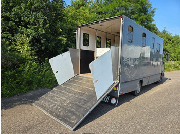 Livestock truck for transportation of animals IVECO 75E: picture 5