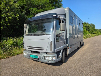 Livestock truck IVECO