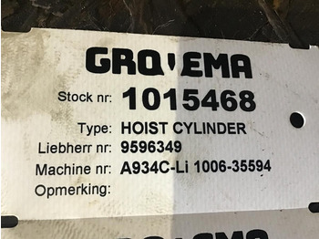 Hydraulic cylinder LIEBHERR