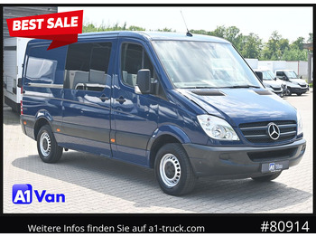 Panel van MERCEDES-BENZ Sprinter 313