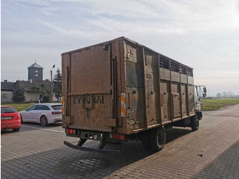 Livestock truck MAN LE 12.189 livestock truck: picture 4