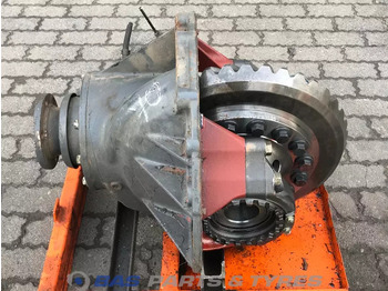 Differential gear DAF