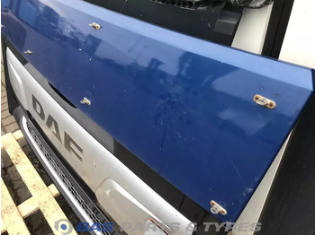 Grill for Truck DAF XF106 Grille DAF 1892076: picture 4