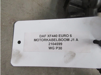 Engine and parts for Truck DAF XF106 1953286 / 2104599 MOTORKABELBOOM J1 A EURO 6: picture 3