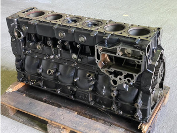 Cylinder block for Truck MAN TGX D3876 LF01 - EURO 6: picture 2