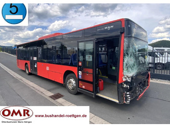 City bus MAN Lion's City A20