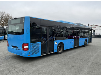 City bus MAN A 21 Lions City: picture 3