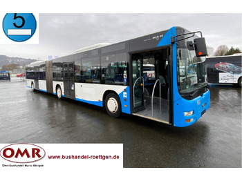Articulated bus MAN Lion's City A23