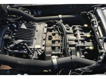 Gearbox MAN TGX