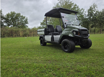 New Golf cart YAMAHA umx: picture 2