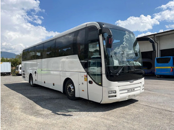 Coach MAN Lion's Coach