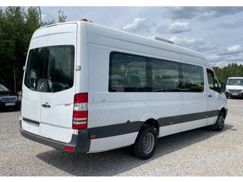 Suburban bus Mercedes-Benz Sprinter 513: picture 3