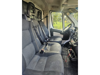 Curtain side van Fiat Ducato 10 Europallets: picture 4 Curtain side van Fiat Ducato 10 Europallets: picture 4