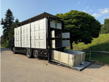 Livestock truck Volvo FM 300 Livestock Cuppers 3 laags 6x2: picture 2