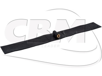 Door and parts IRISBUS