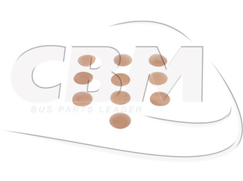 Cabin filter IRISBUS