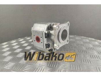 Hydraulic pump