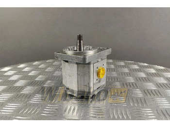 Hydraulic pump