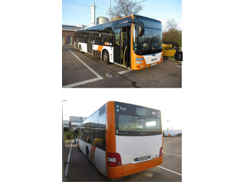 City bus MAN Lion's City A21