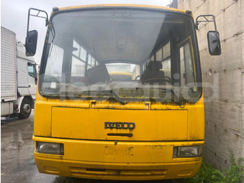School bus IVECO