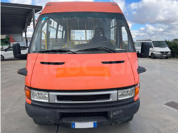 City bus Iveco Daily: picture 2