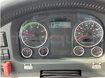 Coach Man Lion's Coach: picture 3 Coach Man Lion's Coach: picture 3