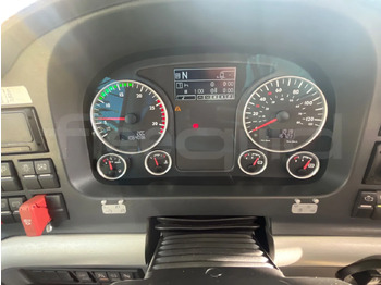 Leasing of Man Lion's Coach Man Lion's Coach: picture 3 Leasing of Man Lion's Coach Man Lion's Coach: picture 3