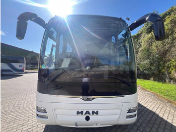 Leasing of Man Lion's Coach Man Lion's Coach: picture 2 Leasing of Man Lion's Coach Man Lion's Coach: picture 2