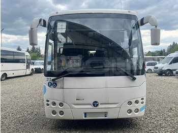 Suburban bus TEMSA