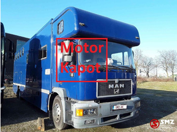 Livestock truck MAN 18.264