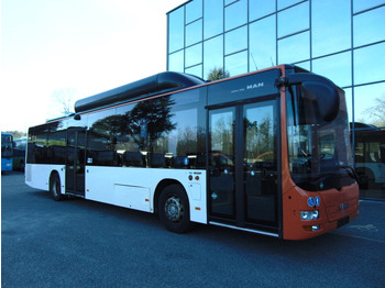City bus MAN Lion's City