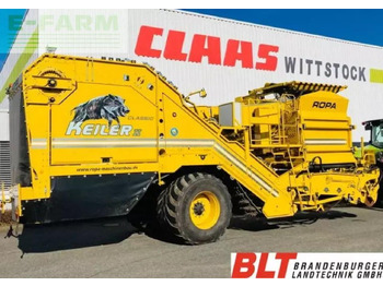 Potato harvester ROPA