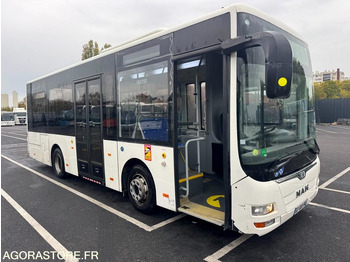 Bus MAN