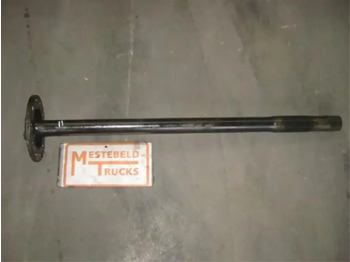 Rear axle DAF