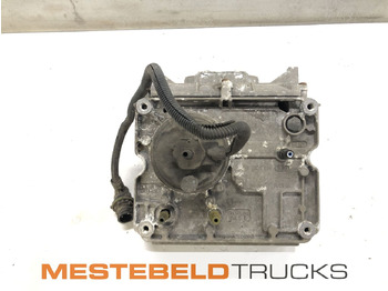 Muffler/ Exhaust system RENAULT