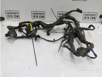 Cables/ Wire harness DAF