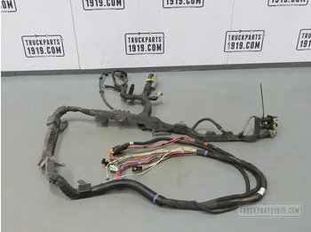 Cables/ Wire harness DAF