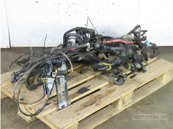 Cables/ Wire harness DAF