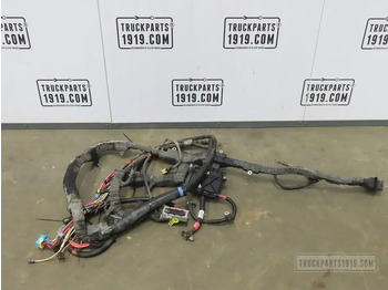Cables/ Wire harness DAF